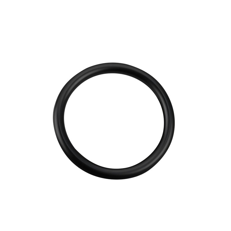 1 Buah 55582541 Cincin Segel T - Tank O-Ring Seal ulasan dan harga